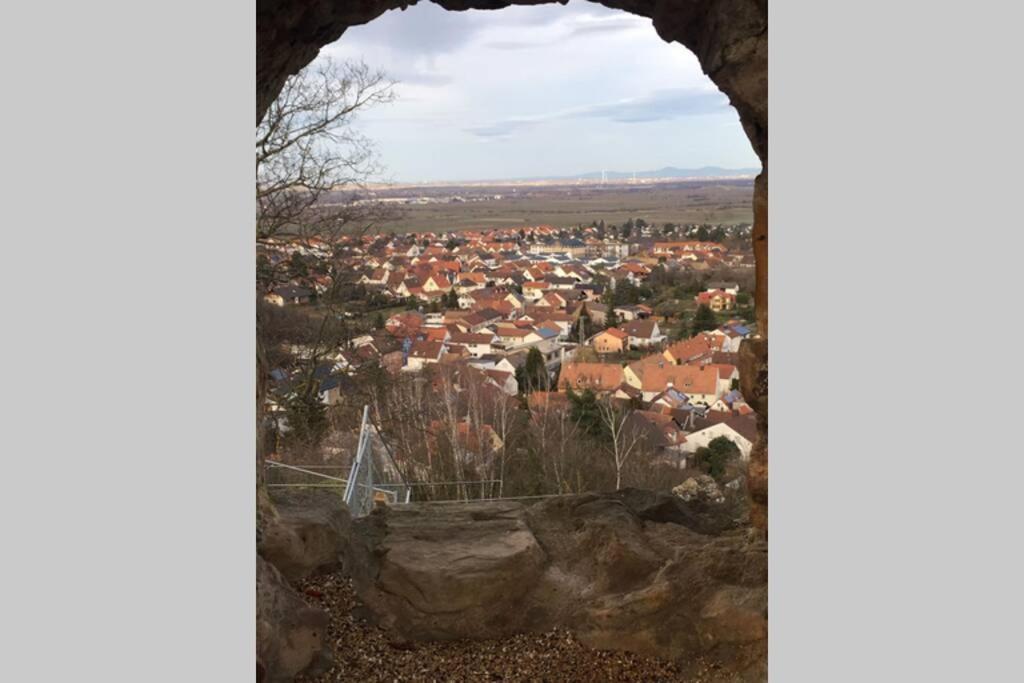 Wunderschoene Wohnung Mit Blick Auf Die Weinberge Neustadt an der Weinstrasse Bagian luar foto